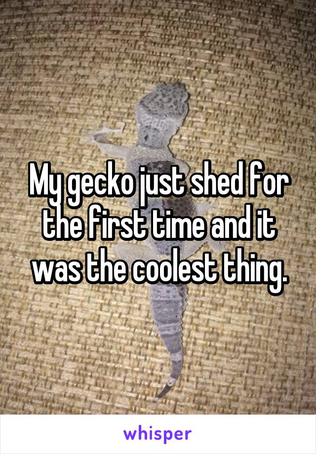 My gecko just shed for the first time and it was the coolest thing.