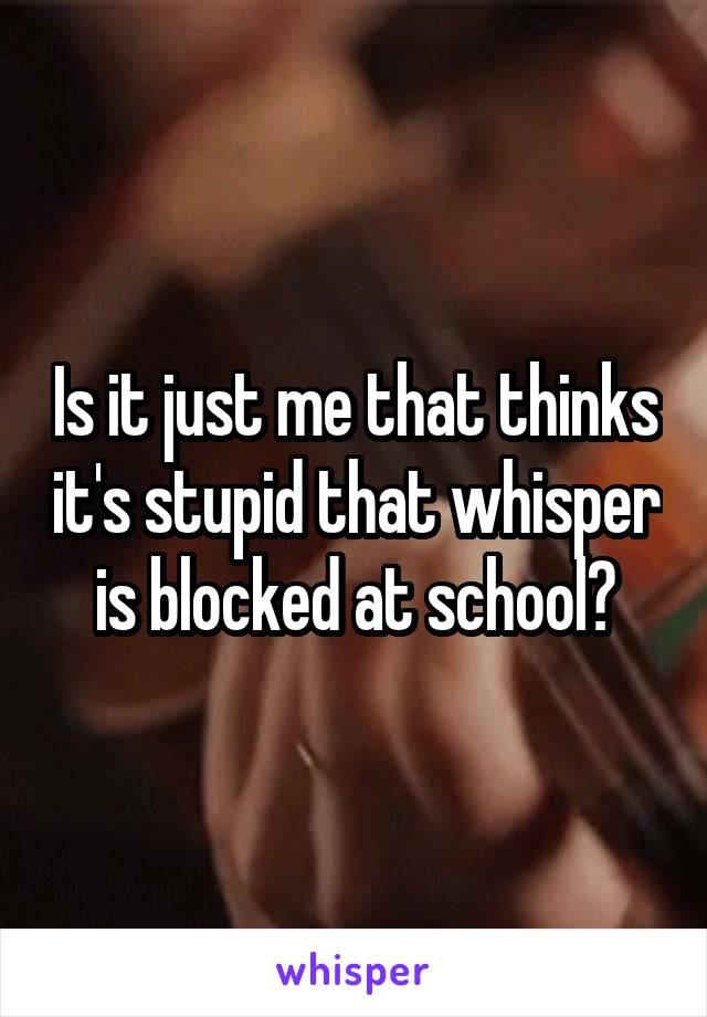 Is it just me that thinks it's stupid that whisper is blocked at school?