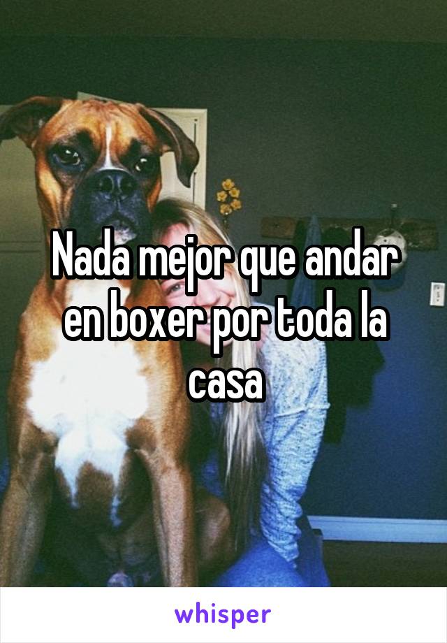 Nada mejor que andar en boxer por toda la casa