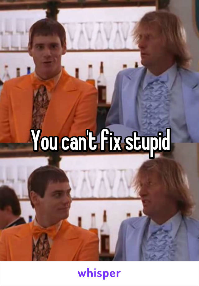 You can't fix stupid