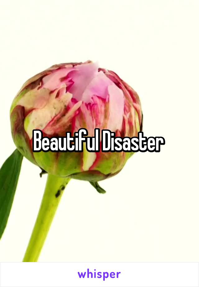 Beautiful Disaster 