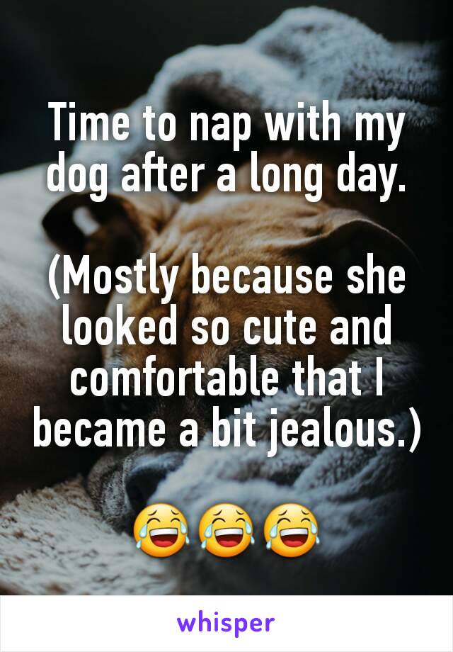 Time to nap with my dog after a long day.

(Mostly because she looked so cute and comfortable that I became a bit jealous.)

😂😂😂