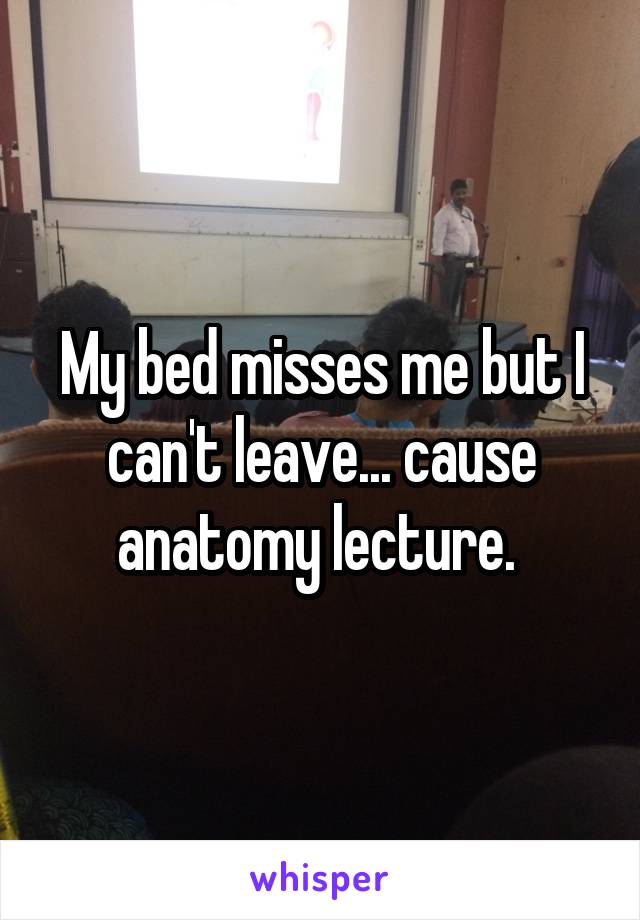 My bed misses me but I can't leave... cause anatomy lecture. 