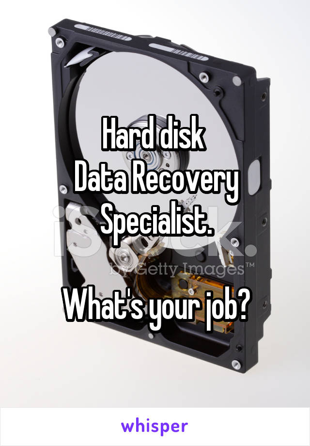 Hard disk 
Data Recovery Specialist.

What's your job?