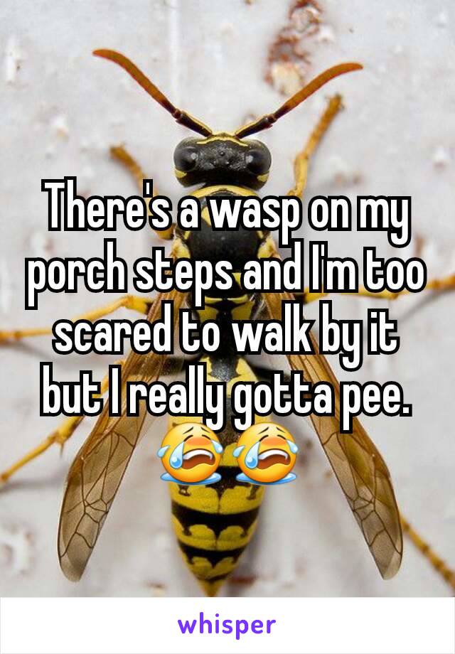 There's a wasp on my porch steps and I'm too scared to walk by it but I really gotta pee. 😭😭