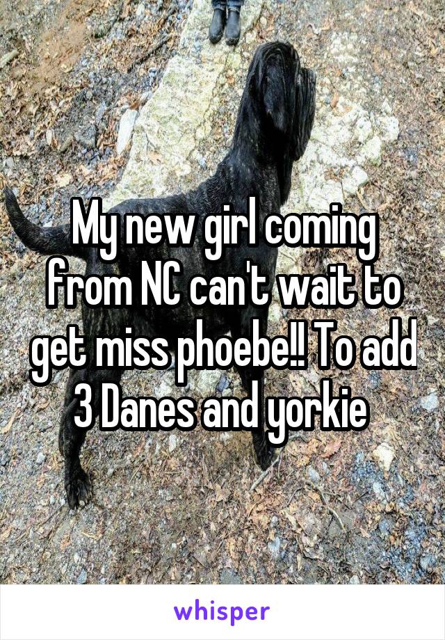 My new girl coming from NC can't wait to get miss phoebe!! To add 3 Danes and yorkie 