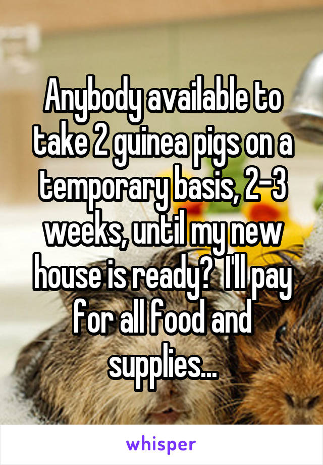 Anybody available to take 2 guinea pigs on a temporary basis, 2-3 weeks, until my new house is ready?  I'll pay for all food and supplies...