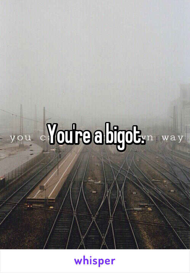 You're a bigot.