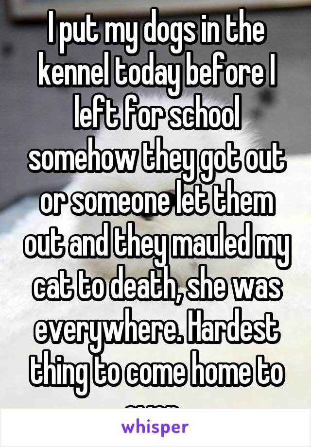 I put my dogs in the kennel today before I left for school somehow they got out or someone let them out and they mauled my cat to death, she was everywhere. Hardest thing to come home to ever. 