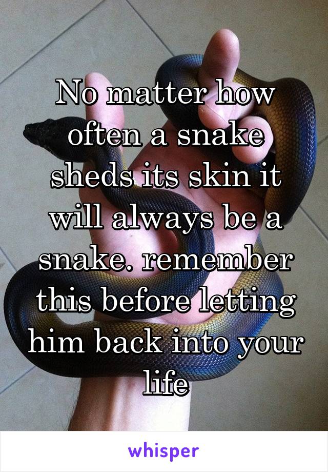 No matter how often a snake sheds its skin it will always be a snake. remember this before letting him back into your life