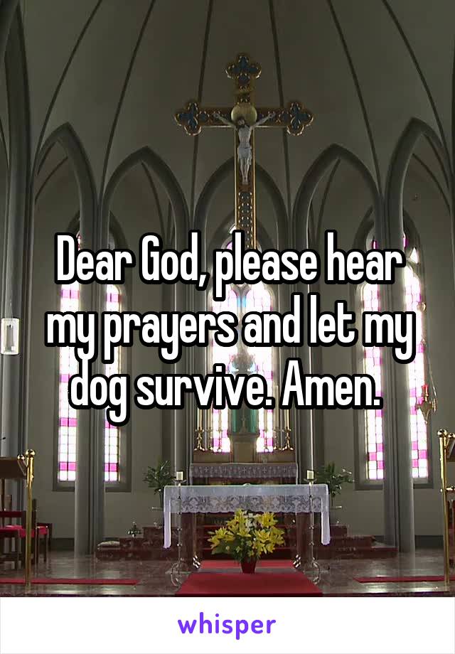 Dear God, please hear my prayers and let my dog survive. Amen. 