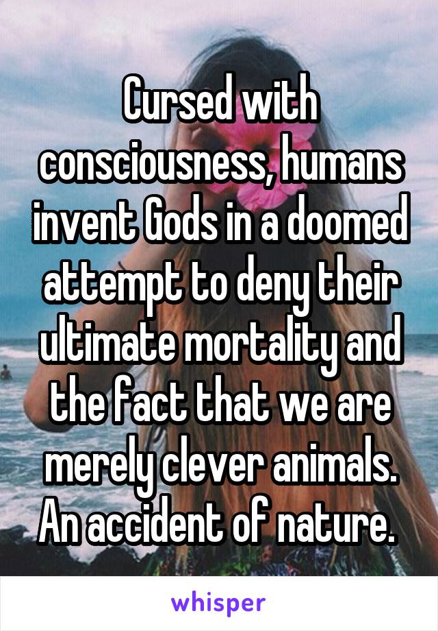 Cursed with consciousness, humans invent Gods in a doomed attempt to deny their ultimate mortality and the fact that we are merely clever animals. An accident of nature. 