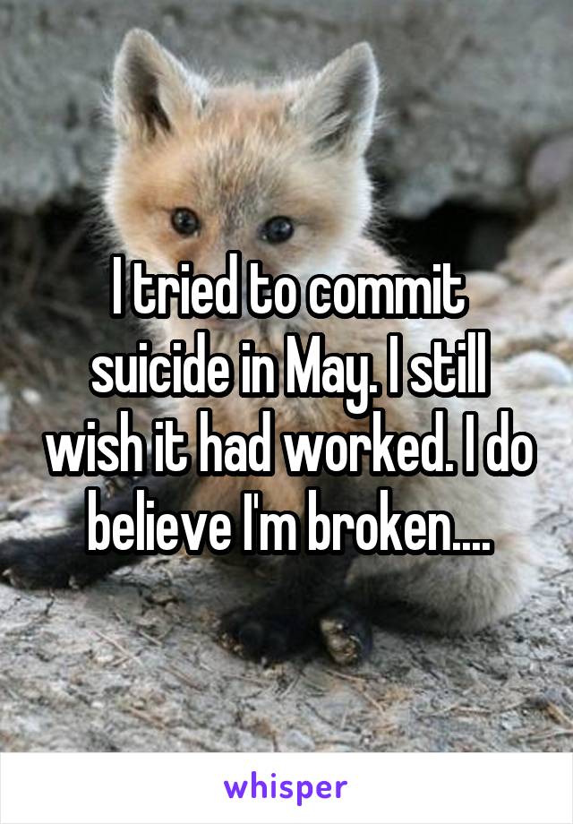 I tried to commit suicide in May. I still wish it had worked. I do believe I'm broken....