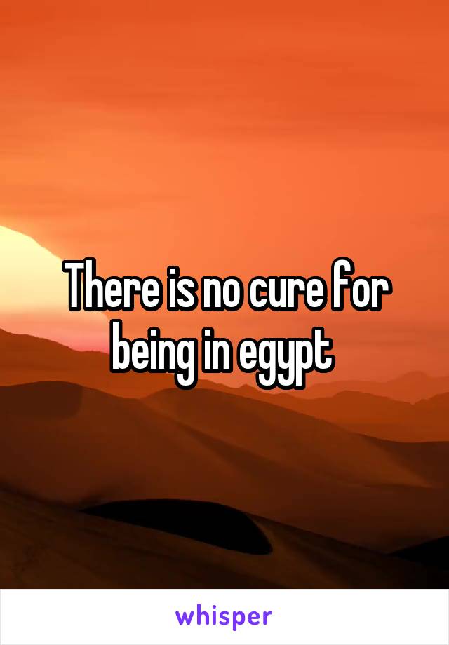 There is no cure for being in egypt 