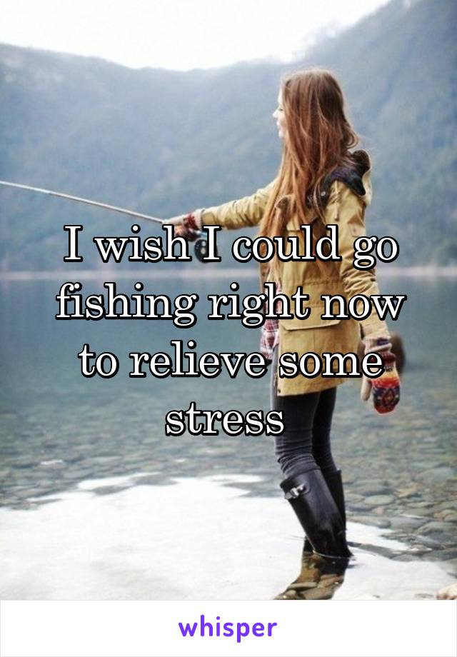 I wish I could go fishing right now to relieve some stress 