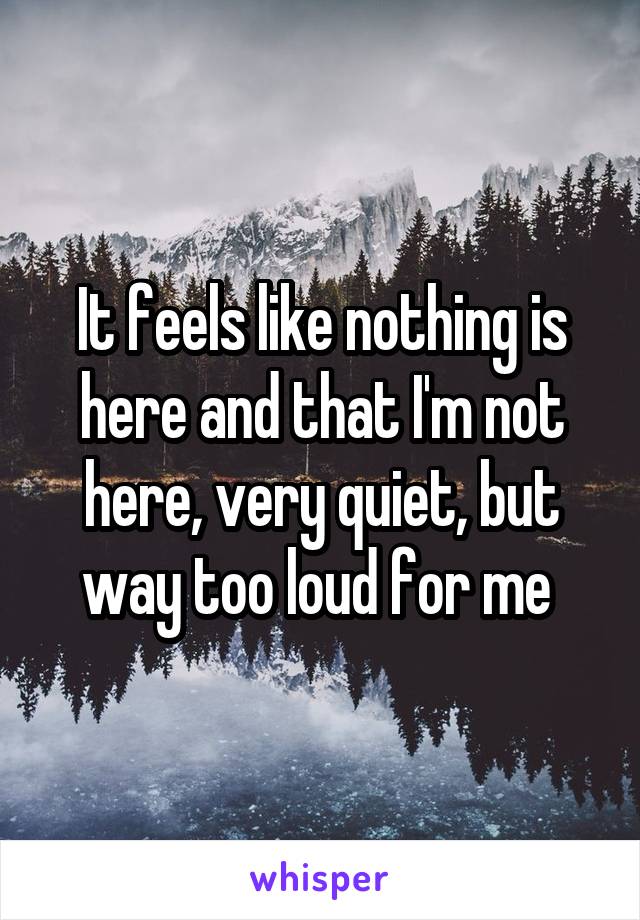 It feels like nothing is here and that I'm not here, very quiet, but way too loud for me 