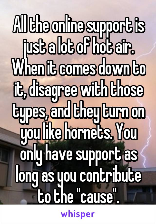 All the online support is just a lot of hot air. When it comes down to it, disagree with those types, and they turn on you like hornets. You only have support as long as you contribute to the "cause".