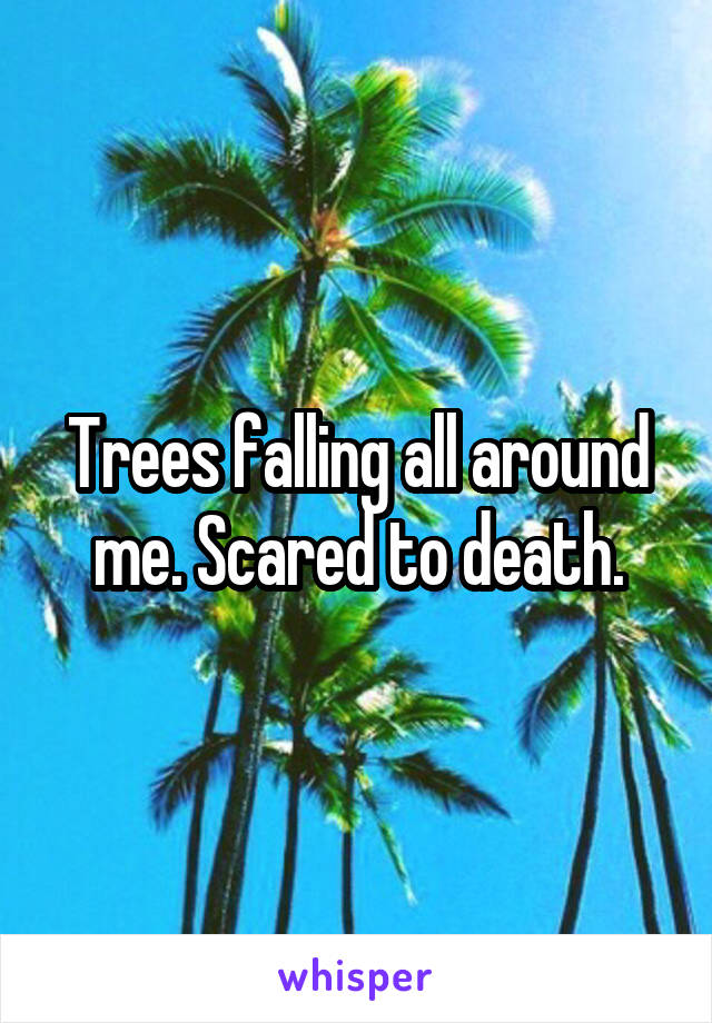 Trees falling all around me. Scared to death.