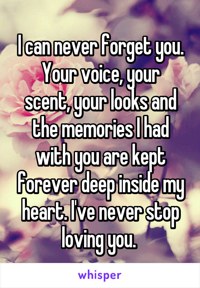 I can never forget you.
Your voice, your scent, your looks and the memories I had with you are kept forever deep inside my heart. I've never stop loving you. 