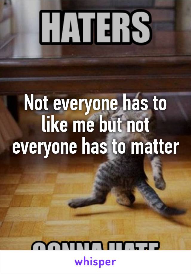 Not everyone has to like me but not everyone has to matter 