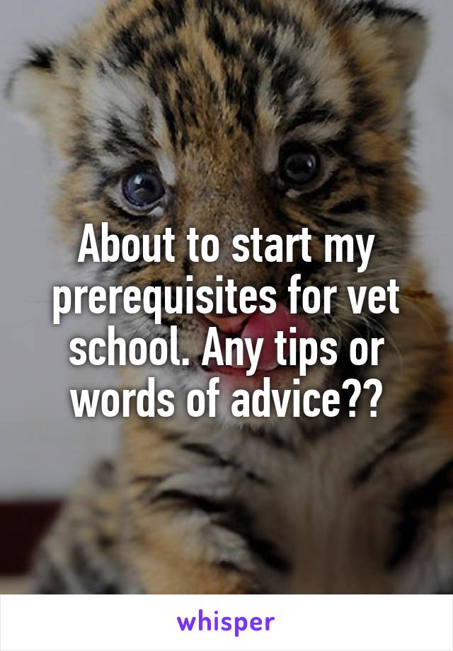 About to start my prerequisites for vet school. Any tips or words of advice??