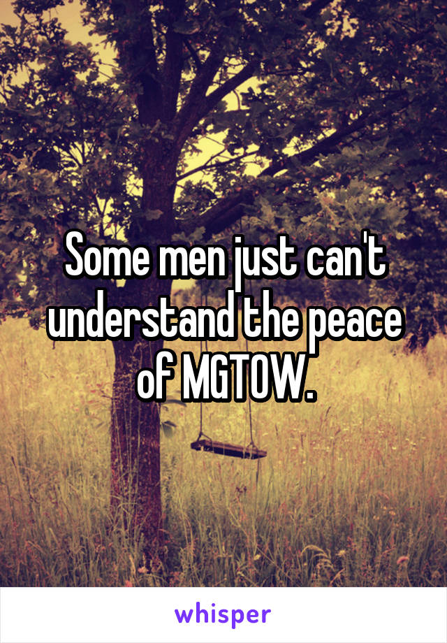 Some men just can't understand the peace of MGTOW.