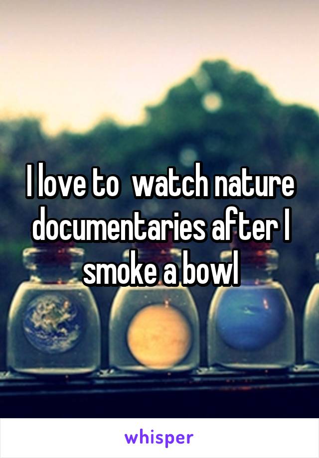 I love to  watch nature documentaries after I smoke a bowl