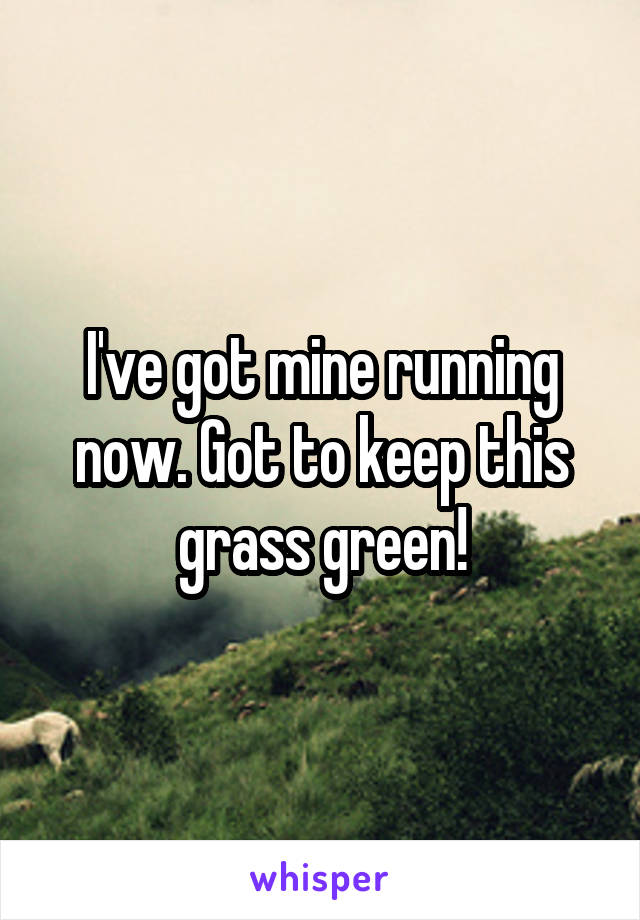 I've got mine running now. Got to keep this grass green!