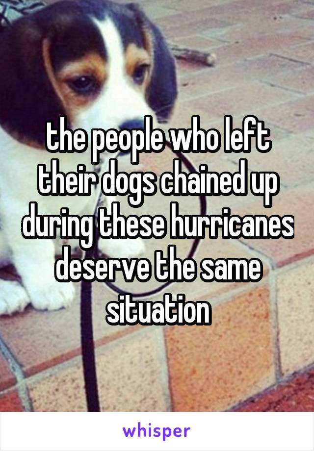 the people who left their dogs chained up during these hurricanes deserve the same situation