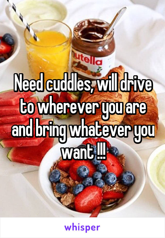 Need cuddles, will drive to wherever you are and bring whatever you want !!!