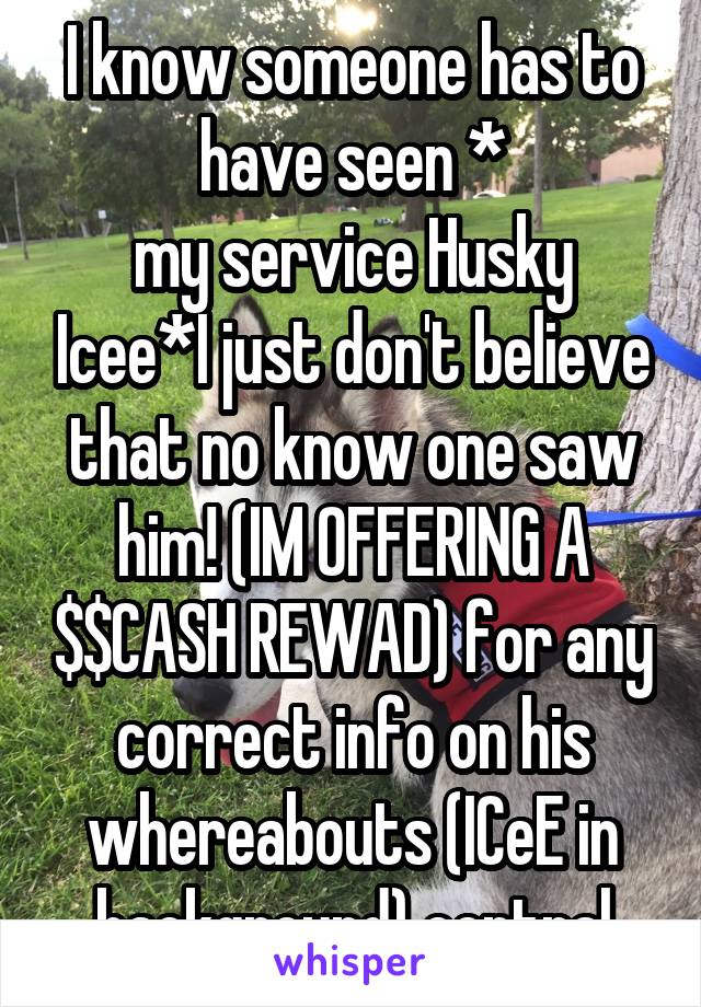 I know someone has to have seen *
my service Husky Icee*I just don't believe that no know one saw him! (IM OFFERING A $$CASH REWAD) for any correct info on his whereabouts (ICeE in background) central