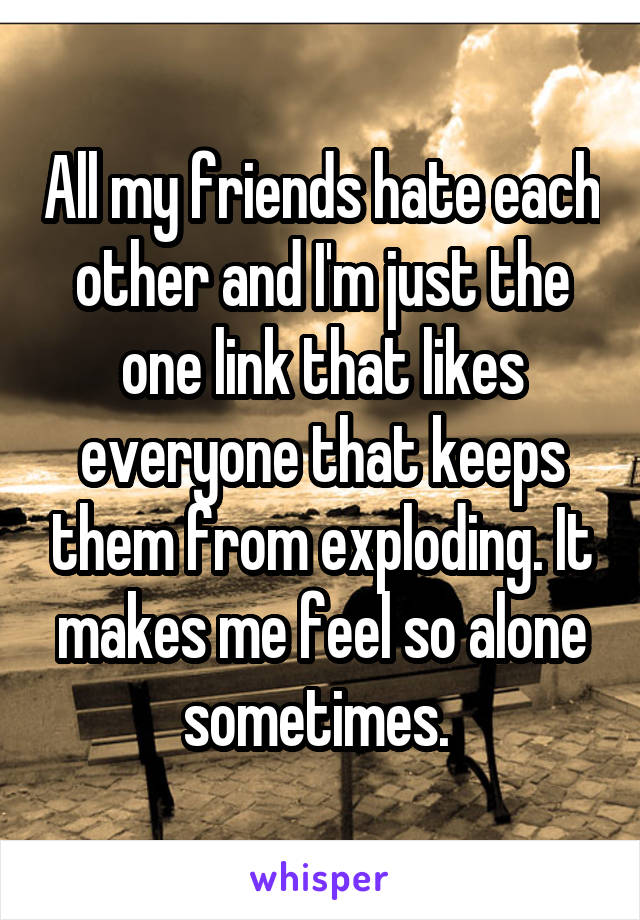 All my friends hate each other and I'm just the one link that likes everyone that keeps them from exploding. It makes me feel so alone sometimes. 