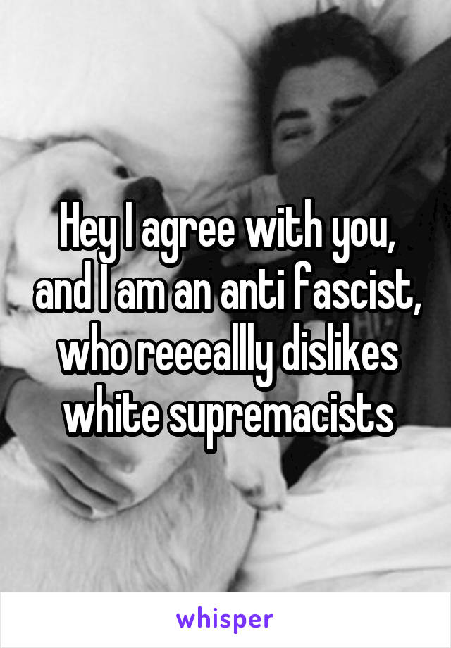 Hey I agree with you, and I am an anti fascist, who reeeallly dislikes white supremacists