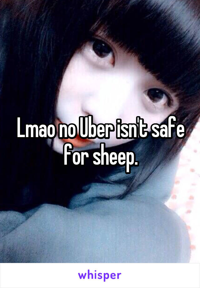 Lmao no Uber isn't safe for sheep.