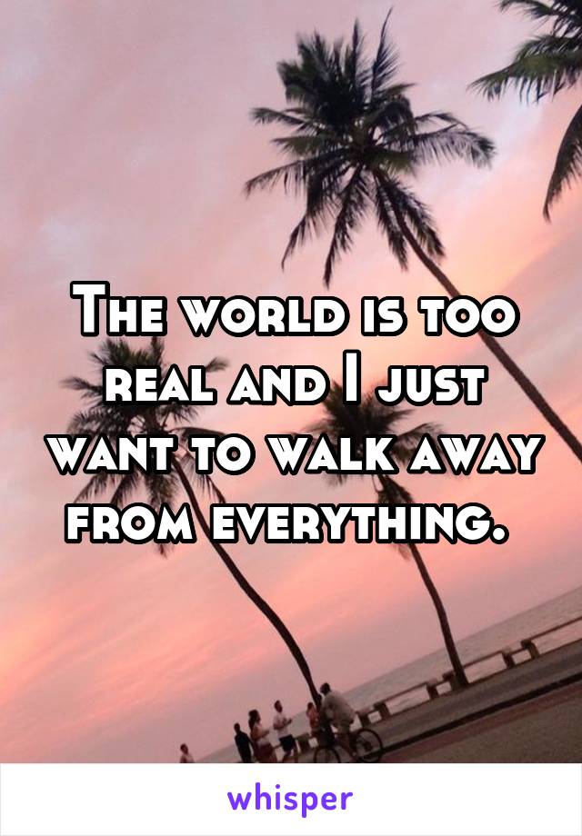 The world is too real and I just want to walk away from everything. 