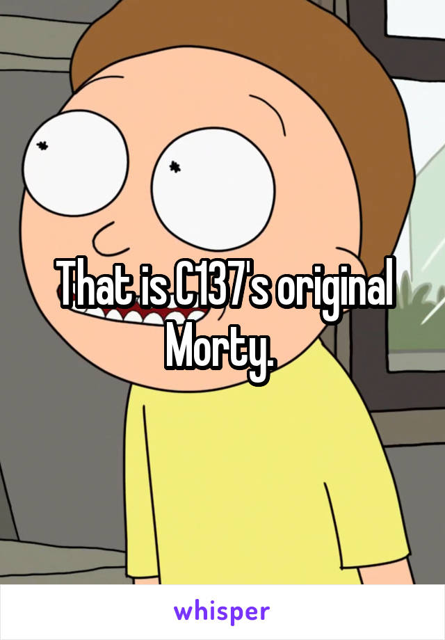 That is C137's original Morty. 