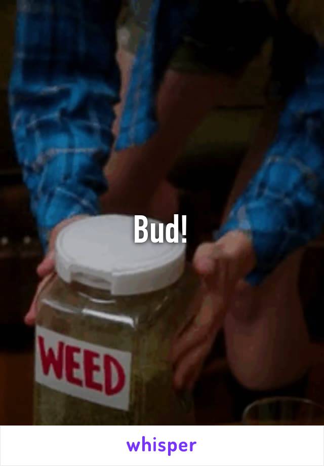 Bud!