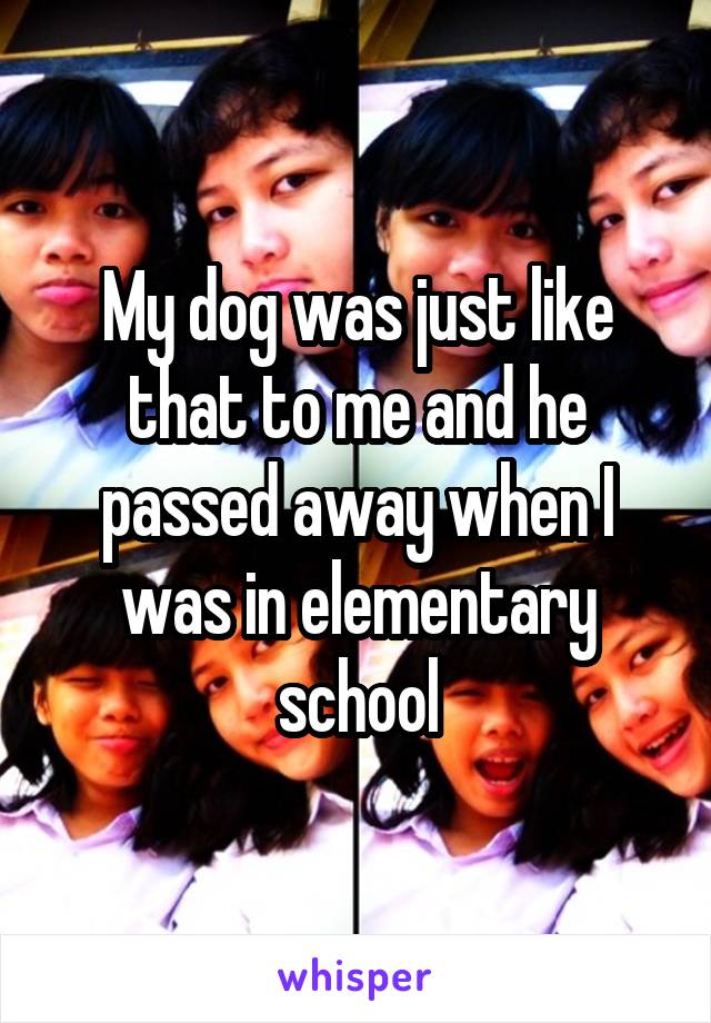 My dog was just like that to me and he passed away when I was in elementary school