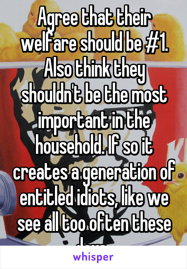 Agree that their welfare should be #1. Also think they shouldn't be the most important in the household. If so it creates a generation of entitled idiots, like we see all too often these days. 