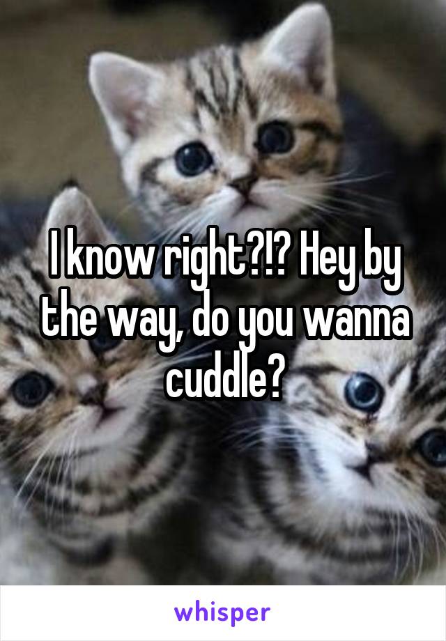 I know right?!? Hey by the way, do you wanna cuddle?