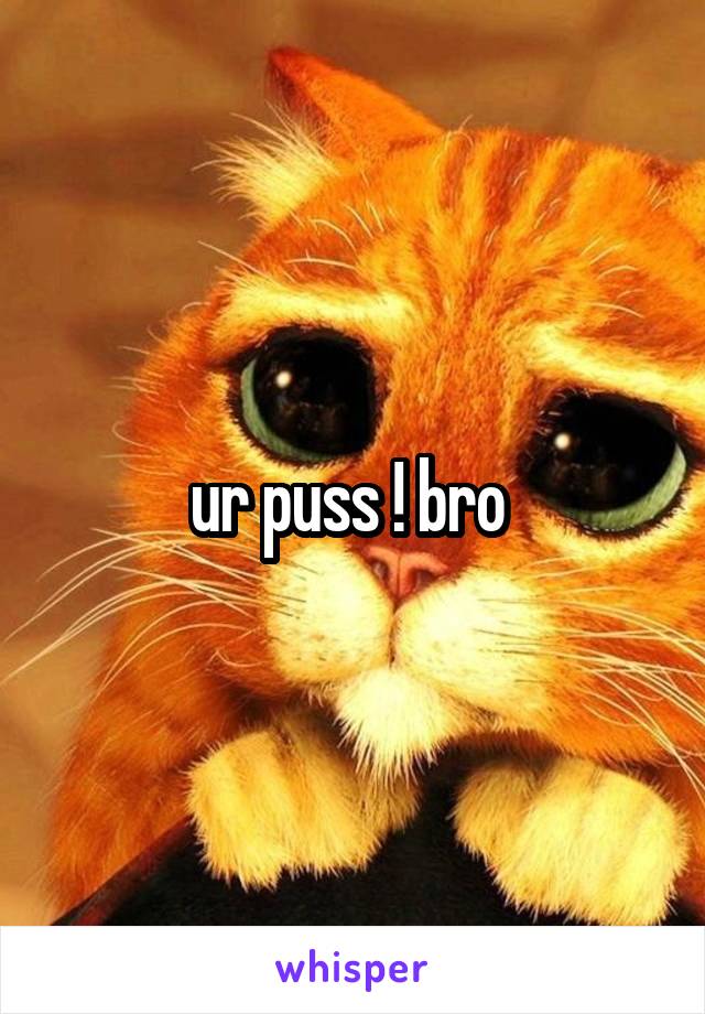 ur puss ! bro 