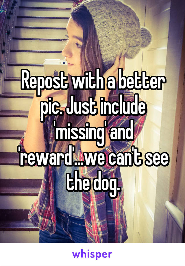 Repost with a better pic. Just include 'missing' and 'reward'...we can't see the dog.