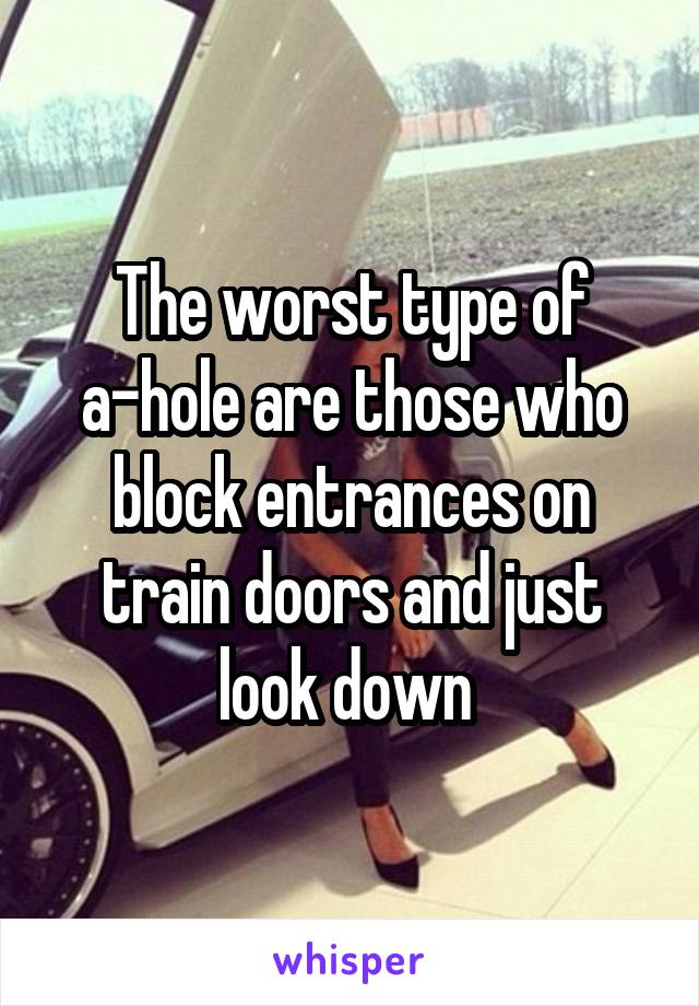 The worst type of a-hole are those who block entrances on train doors and just look down 