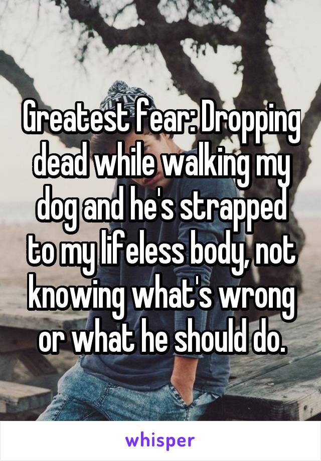 Greatest fear: Dropping dead while walking my dog and he's strapped to my lifeless body, not knowing what's wrong or what he should do.