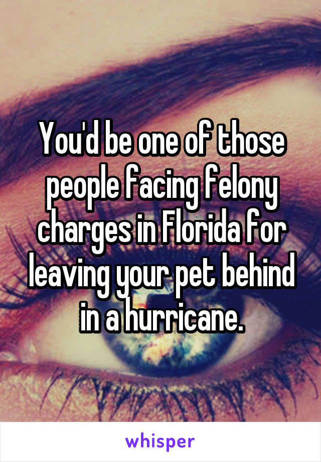 You'd be one of those people facing felony charges in Florida for leaving your pet behind in a hurricane.