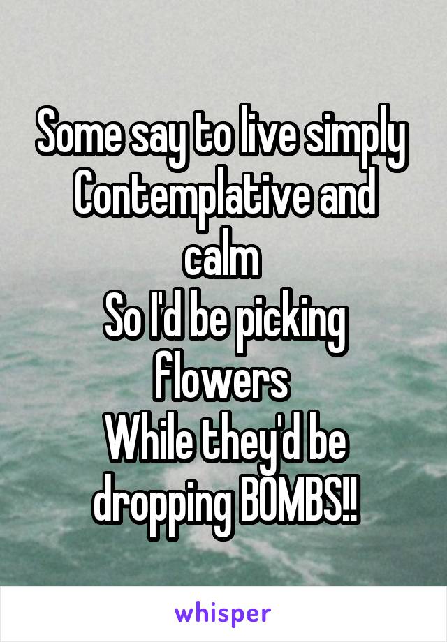 Some say to live simply 
Contemplative and calm 
So I'd be picking flowers 
While they'd be dropping BOMBS!!