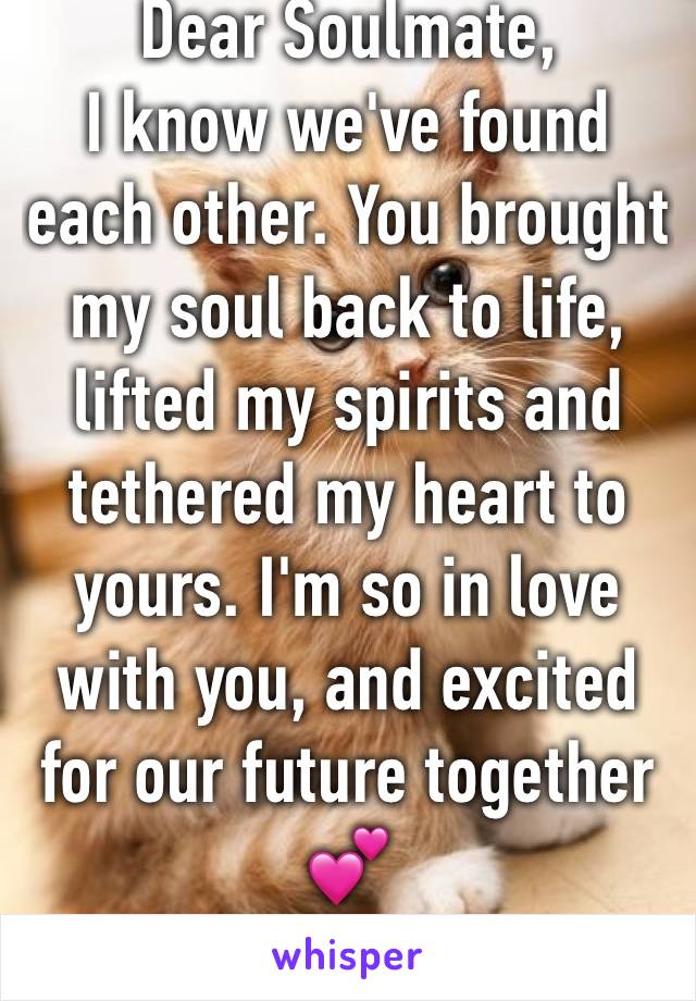 Dear Soulmate, 
I know we've found each other. You brought my soul back to life, lifted my spirits and tethered my heart to yours. I'm so in love with you, and excited for our future together 💕