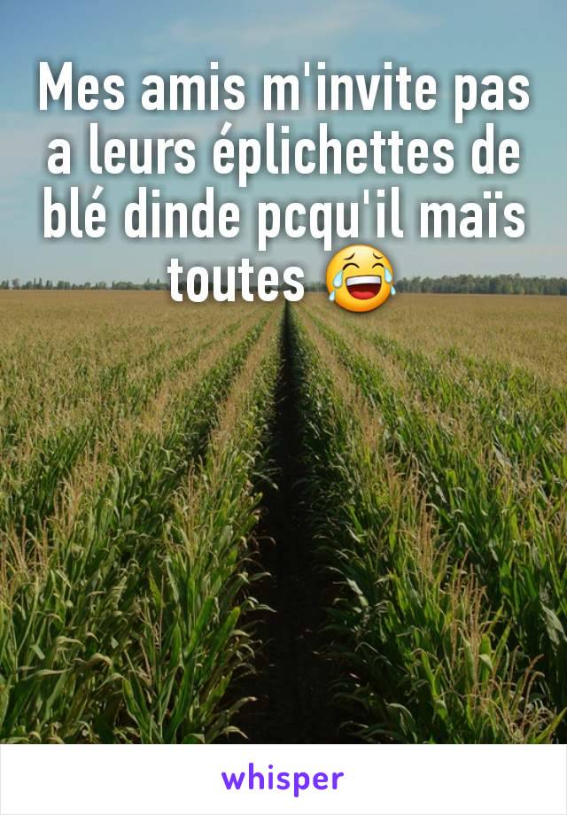 Mes amis m'invite pas a leurs éplichettes de blé dinde pcqu'il maïs toutes 😂