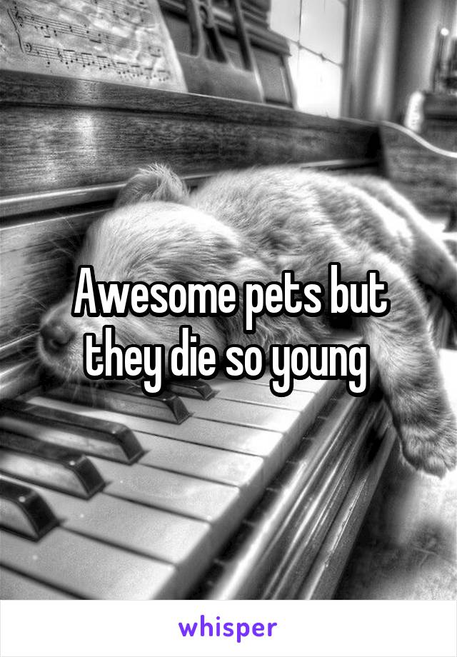 Awesome pets but they die so young 