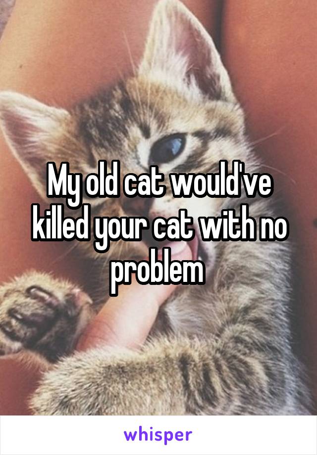 My old cat would've killed your cat with no problem 